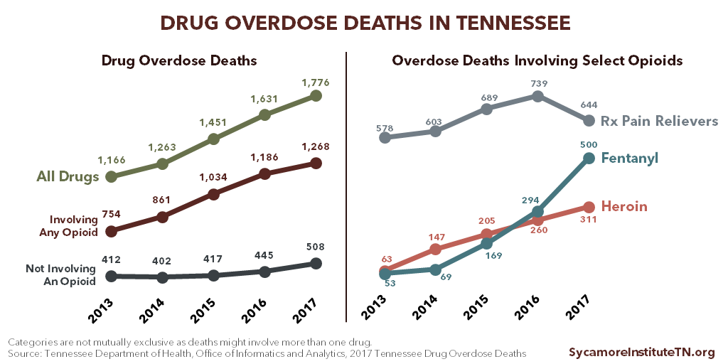 Drug Overdose Deaths in Tennessee 2013-2017