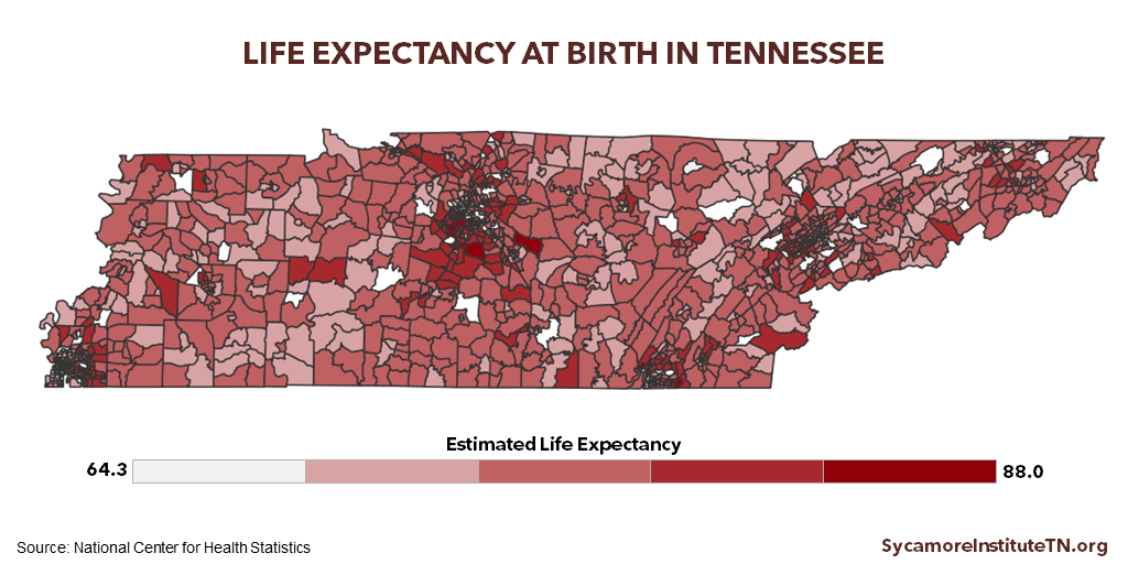 Life Expectancy at Birth in Tennessee