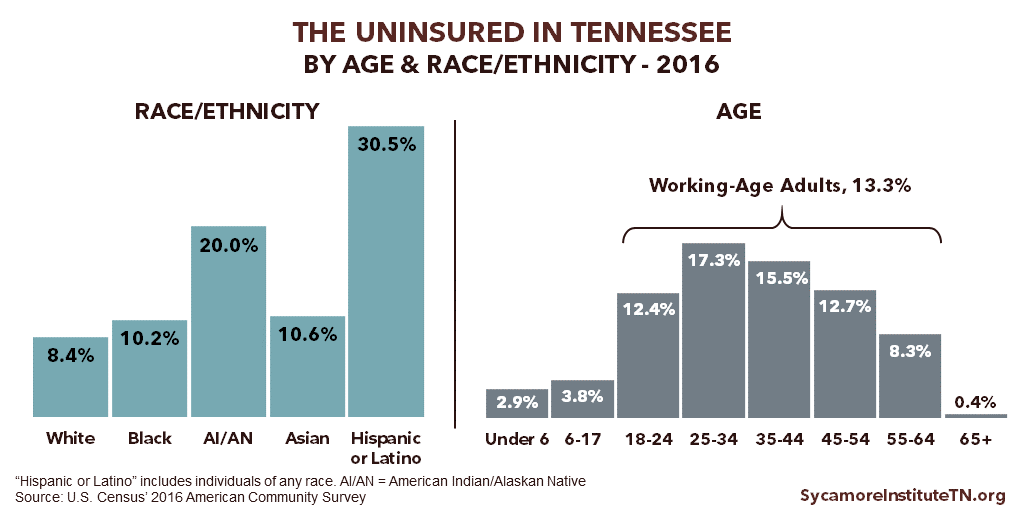 The Uninsured in TN by Age & Race Ethnicity - 2016